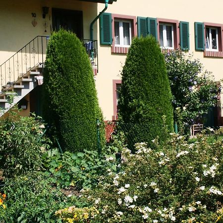 Dani'S Ferienwohnung Freiamt Dış mekan fotoğraf