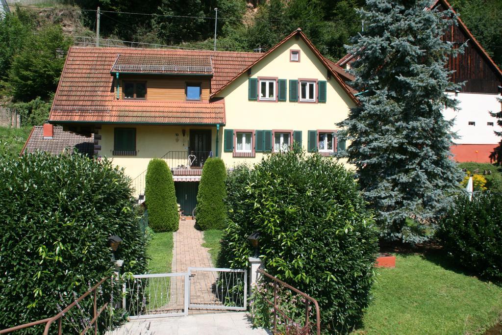 Dani'S Ferienwohnung Freiamt Dış mekan fotoğraf