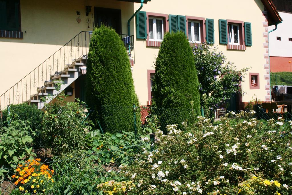 Dani'S Ferienwohnung Freiamt Dış mekan fotoğraf